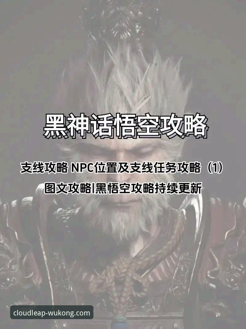 悟空体育手机App下载与使用全攻略：新手快速上手指南